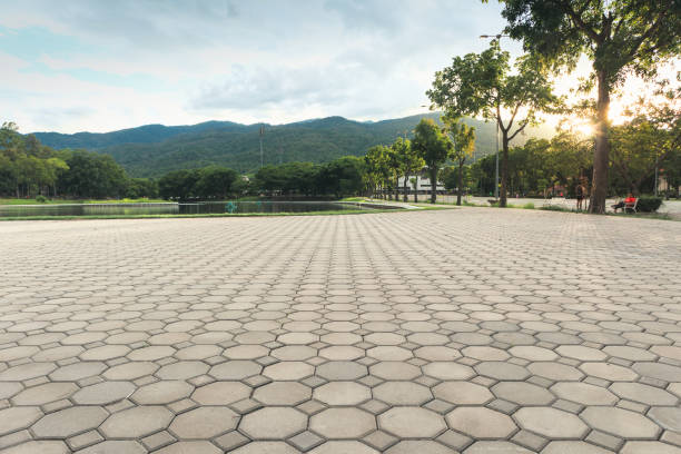 Best Driveway Paving Contractor  in Sudden Valley, WA